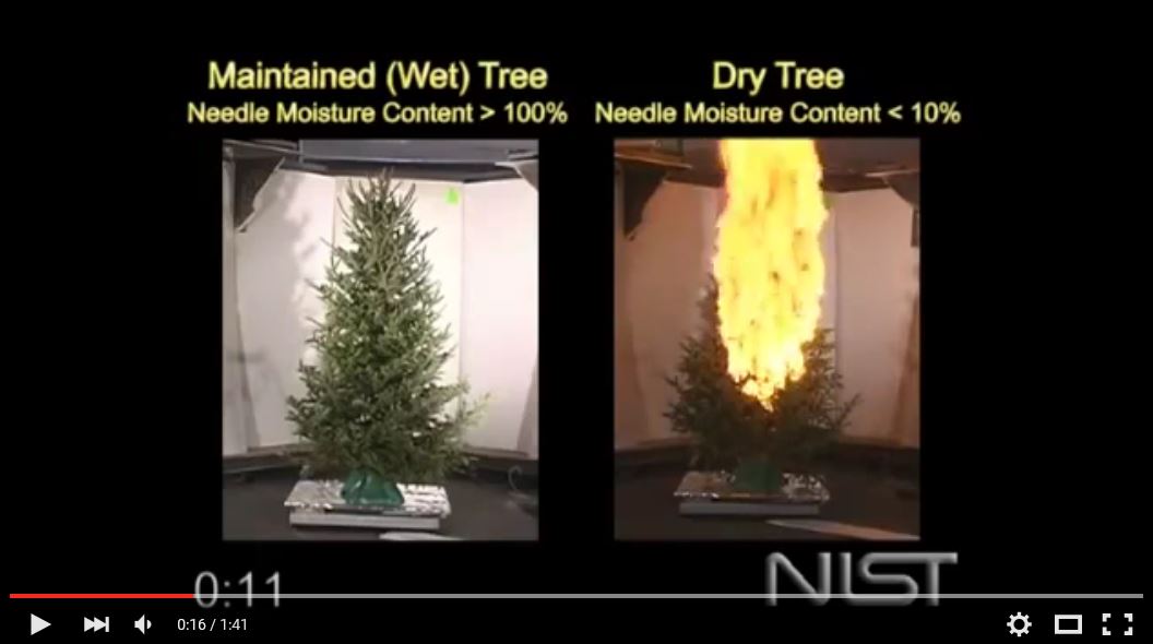 Water Your Live Christmas Trees for Safety Sake!! Redings Mill Fire